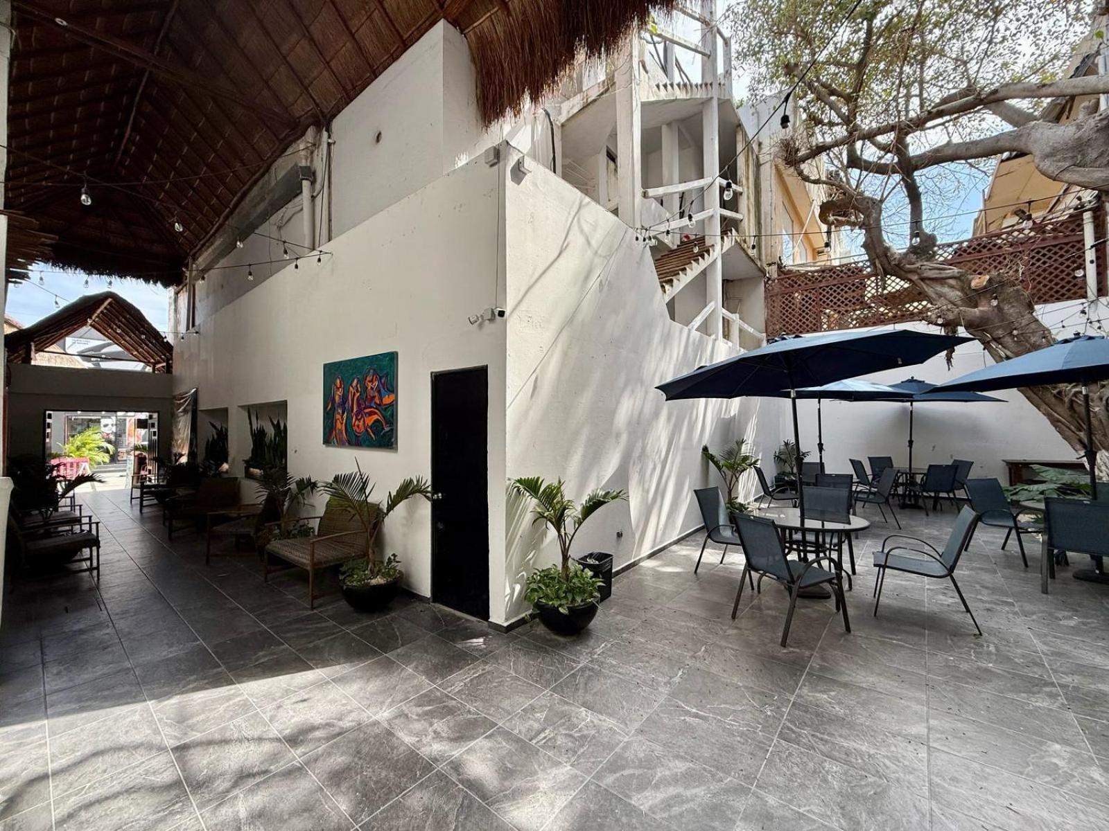 Hotel Casa Tortuga 5Th Ave Playa del Carmen Exterior foto